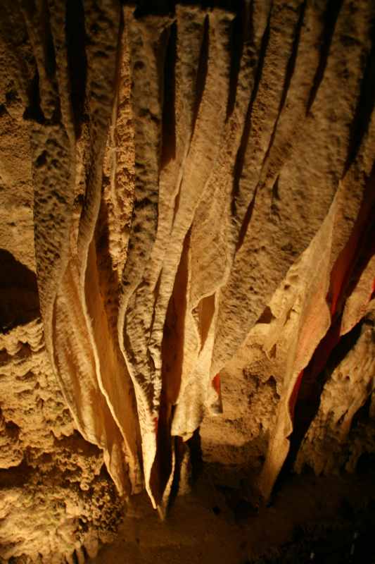 Nieuw-Zeeland 2011 - 0538